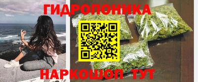 крисы Жуковский