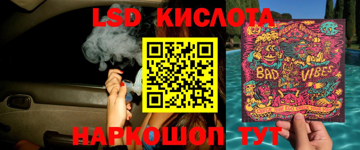 Псилоцибиновые грибы Лесосибирск