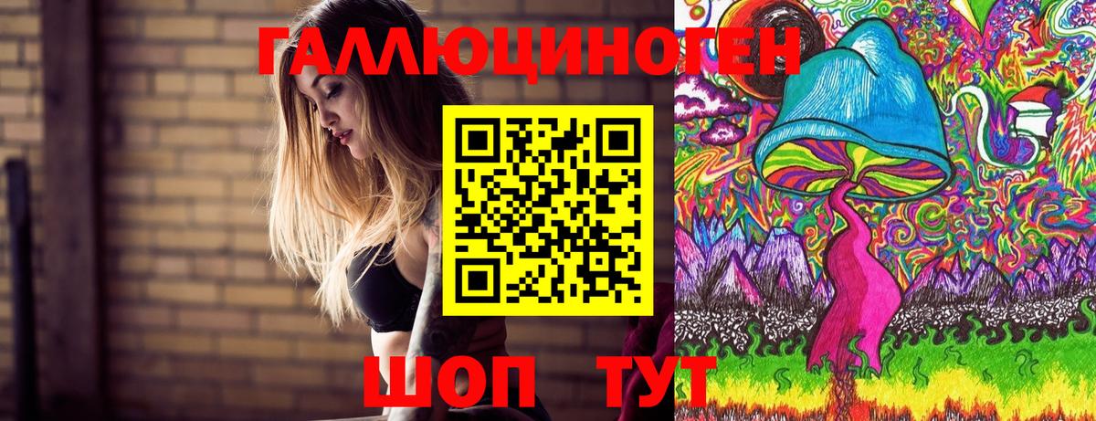 Галлюциногенные грибы Psilocybe Лесосибирск