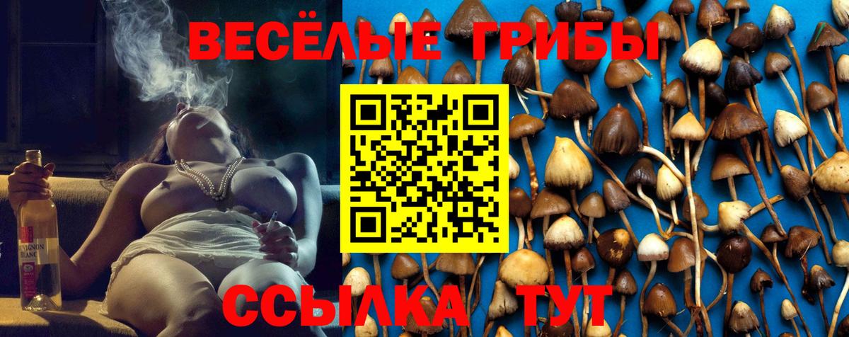 Галлюциногенные грибы Psilocybine cubensis  Вход с VPN  Лесосибирск 